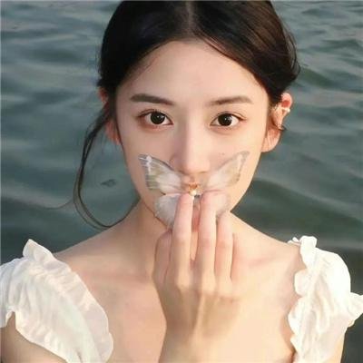 大盗贺钦布龙兹